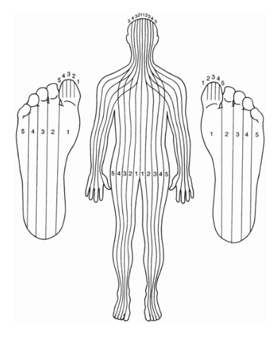 reflexologie