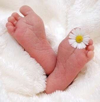 Périnatalité - Parentalité