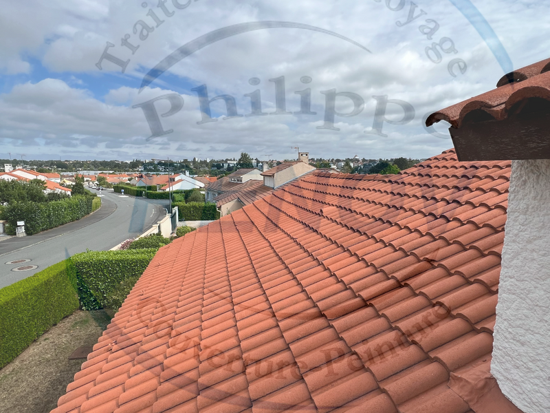 2023-08-0920230810-1164602-1oybvll