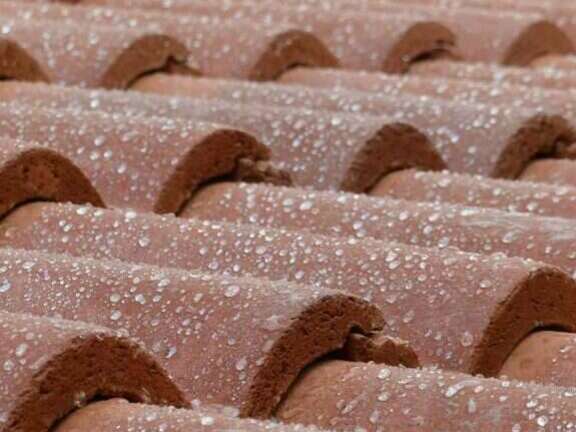 2021-11-0520221016-174798-1e0w8u3