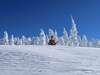 Wim Hof