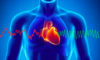 Cohérence cardiaque et respiration wim hof