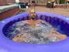 bain de glace