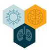 3 pilastri del metodo wim hof