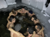 Stage Wim Hof