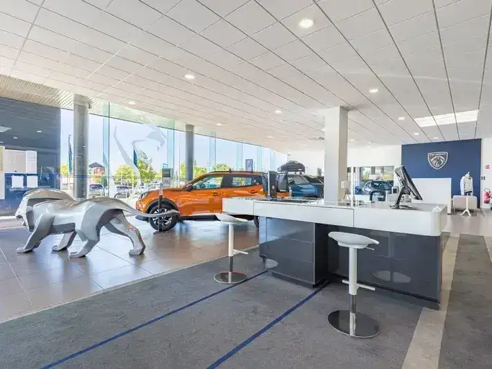 e789da_dc074978ccdd44c3bab17658535f6927_mv2__1_