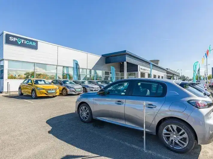 e789da_5a17d11676754ed983fd9e238086439f_mv2