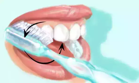 TECHNIQUE DE BROSSAGE DE BASS