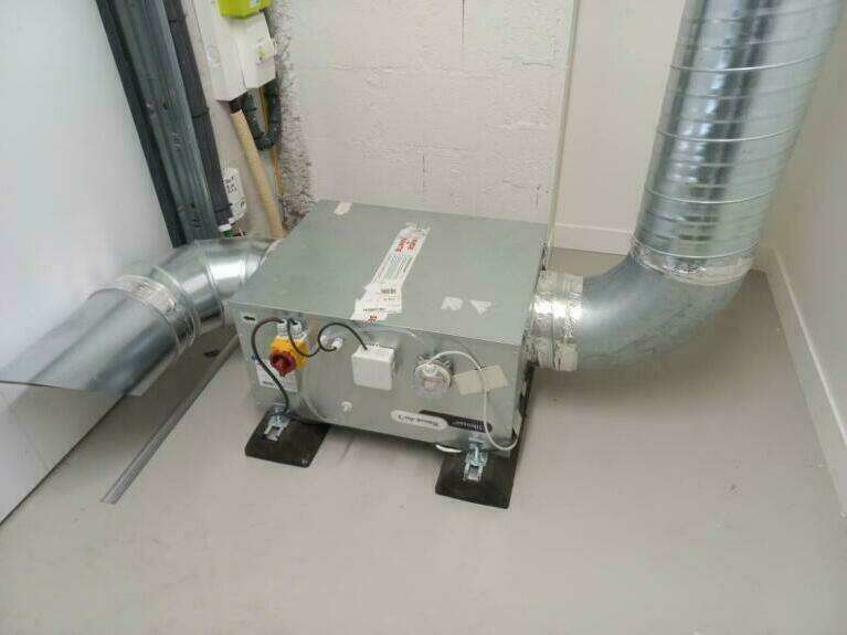 img_20250317_13104120250528-90019-nft0y6