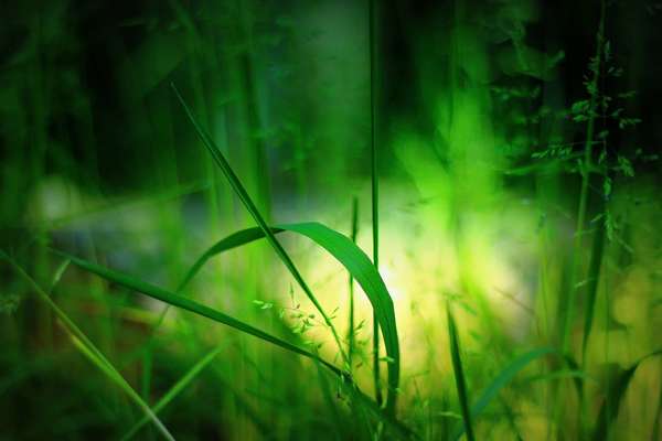 Je choisis mes affirmations positives pour mon quotidien