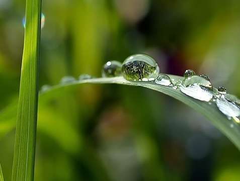 Que se passe-t-il en séance de sophrologie entre le conscient et l'inconscient ?