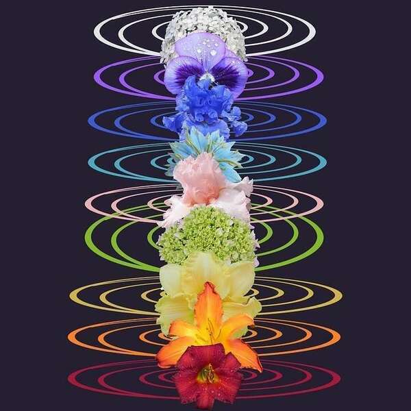 Les chakras et les séances d'énergétique