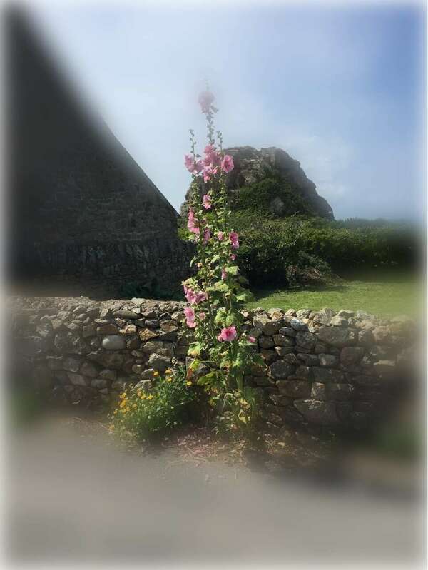 l'EMDR : Une Approche  Innovante