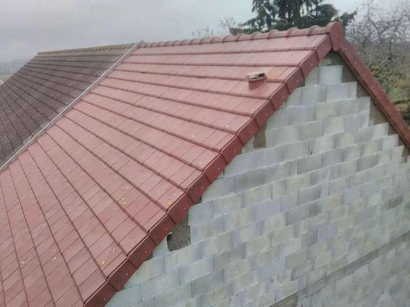 Tuile grand moule Alpha 10.