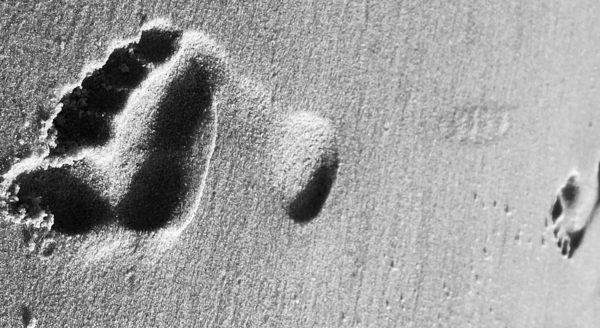 L’ANALYSE PSYCHO-ORGANIQUE & LE MOUVEMENT DANSÉ