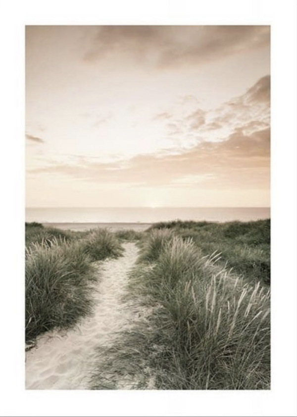 - Le voyage émotionnel -