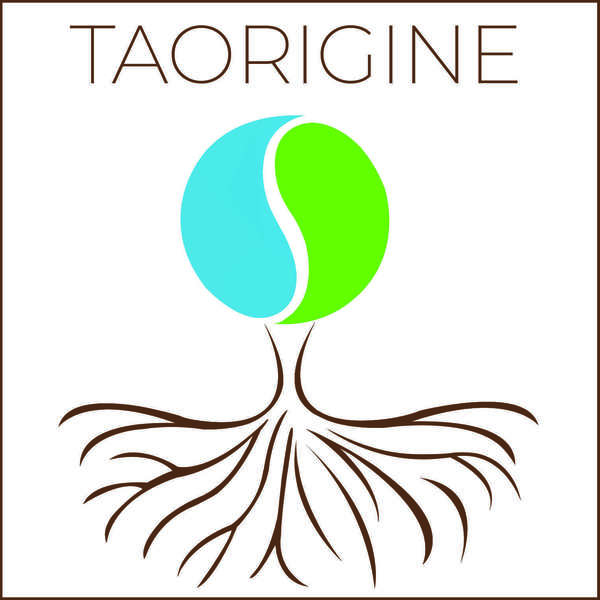 Logo Taorigine Logo Taorigine