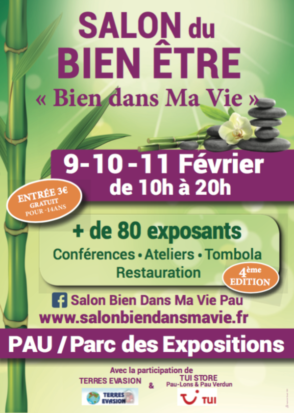 LA MEDECINE SYSTEMIQUE CHINOISE : de l'origine de nos maux à la guérison.