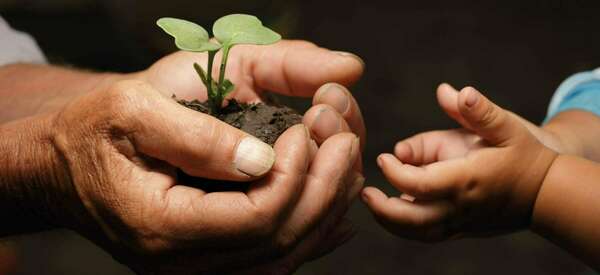 Journées "Constellations Familiales" en groupe