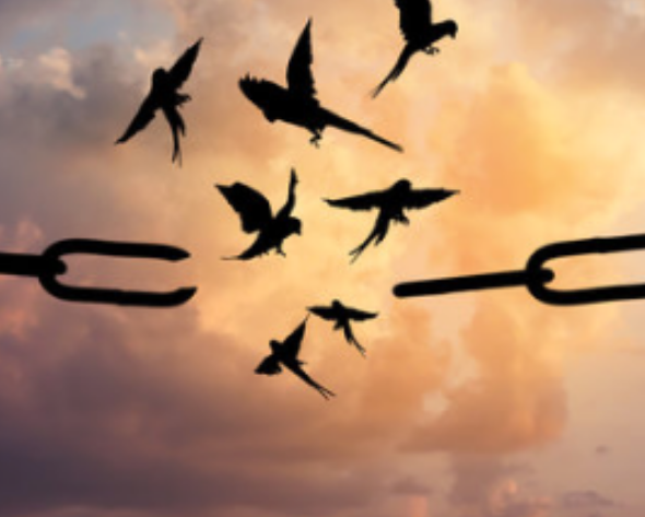 Journées Constellations Familiales et Systémiques en Groupe 