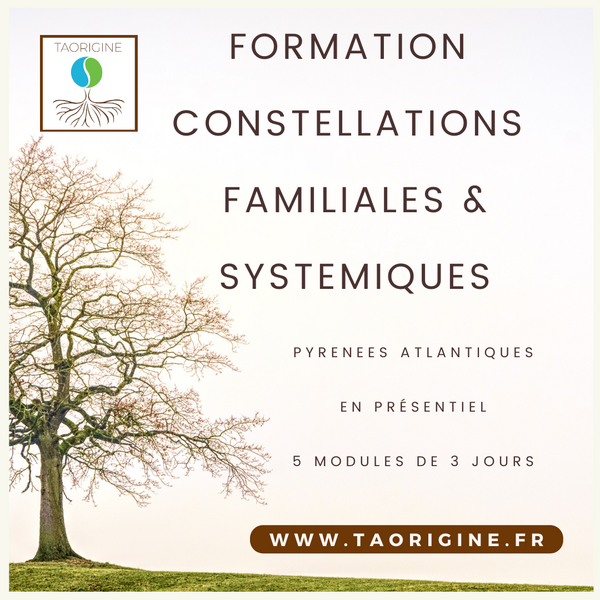 Septembre 2024  à janvier 2025 : Se former aux Constellations Familiales