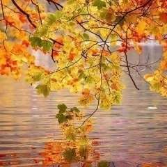 La lettre du mois octobre