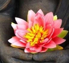 La lettre de fin d'hiver...