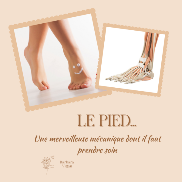 Le pied, cette merveilleuse mécanique