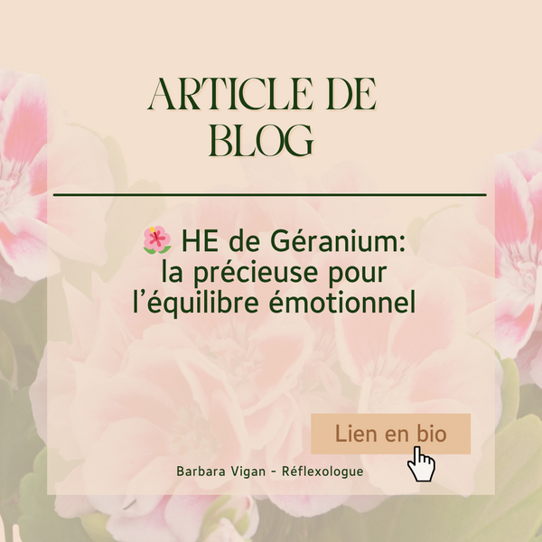 HE géranium
