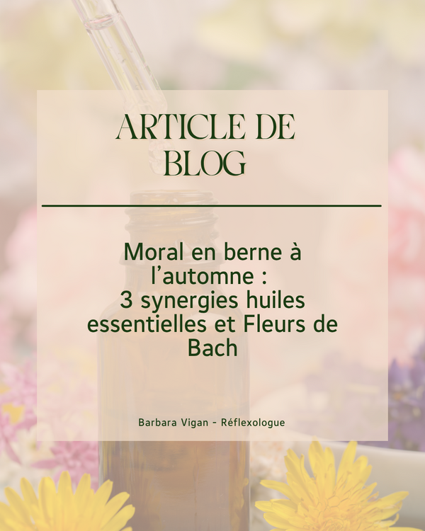 synergies_automne_et_moral_barbara_vigan_reflexologue