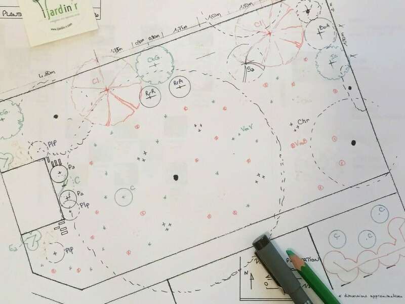 manom_plant_de_plantation_detaille