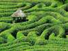 créer un jardin facile