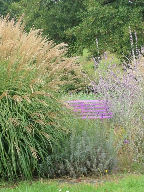 jardin personnalisé avec piscine