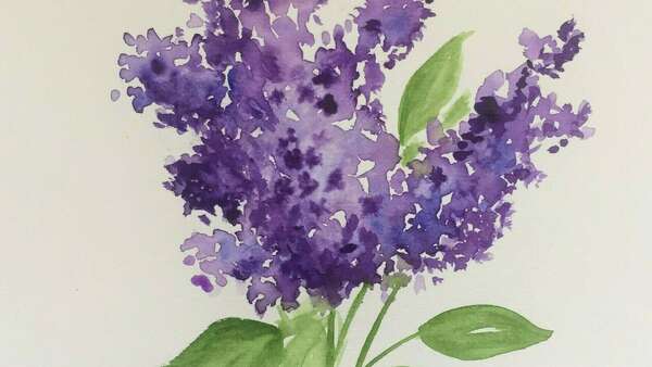 lilas de mon jardin en moselle conseils de paysagiste