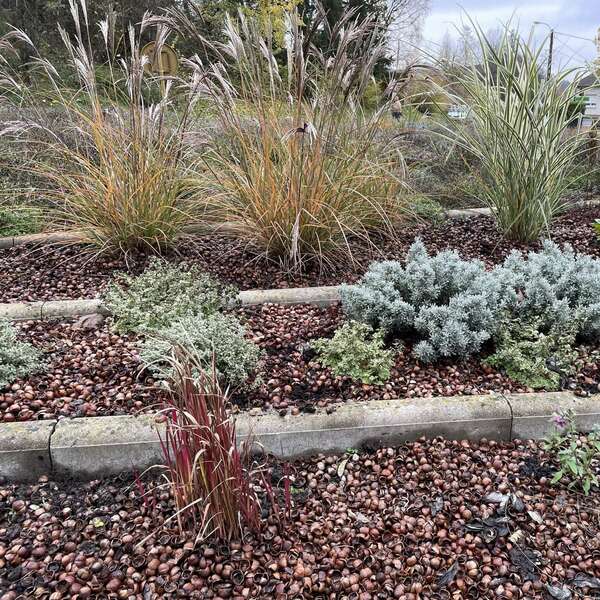 amenagement paysager rond point nilvange par ijardin'r