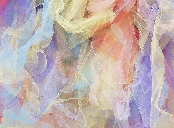 TOP 5 pour un jardin aux couleurs chaudes et élégantes en 2024