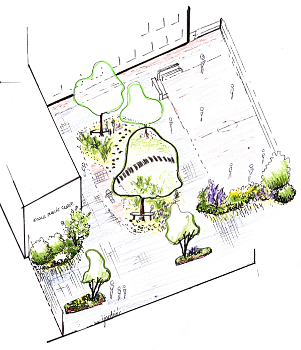Etude de la végétalisation d'une cour d'école