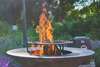 feu de bois jardin hiver