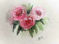 Les pivoines
