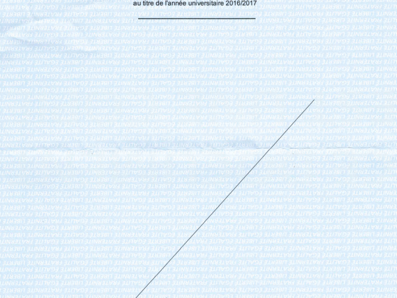 4c72ebad-719a-4db0-bc4c-d7668a331ac120200915-2490013-5kmp2b