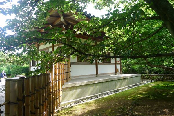  "En shiatsu :  le coeur est la saison de l'été.."