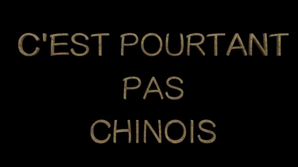 Plaidoyer pour la Médecine Chinoise et les Médecines Traditionnelles indienne et Tibétaine