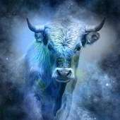 CE QUE DISENT LES ASTRES DE VOTRE SANTE  - TAUREAU