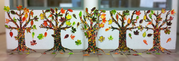 Conseils d'Automne pour maintenir sa vitalité