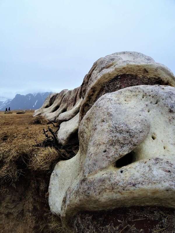 Profiter de l'énergie de l'hiver pour se régénerer et renforcer ses os