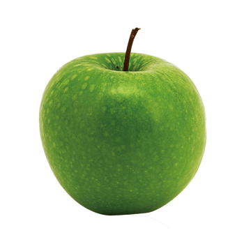 Bilan nutritionnel + Analyse de la composition corporelle (DEXA)