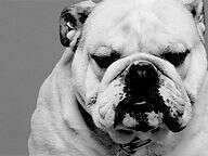 b0e1884f389e113458ff4515e4535b1f