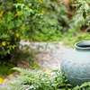 Contacter Naturopathie Hypnose 28