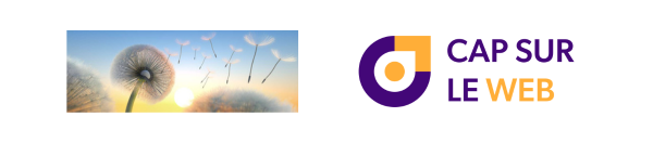 Logo Cap Sur le Web