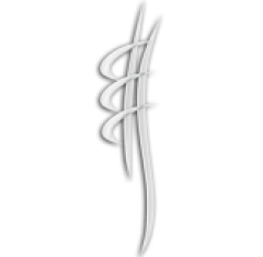CHIROPRACTEUR SURESNES